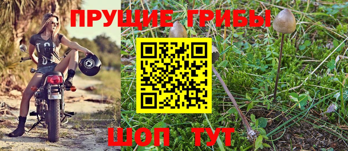 Лесозаводск  Псилоцибиновые грибы GOLDEN TEACHER  где найти   Вход с VPN 