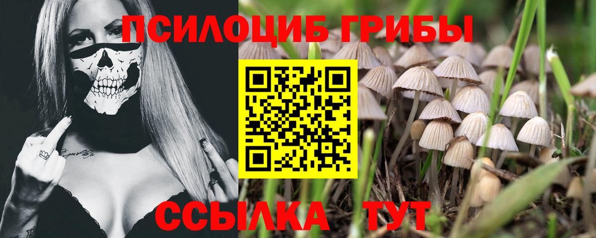 Псилоцибиновые грибы GOLDEN TEACHER Лесозаводск